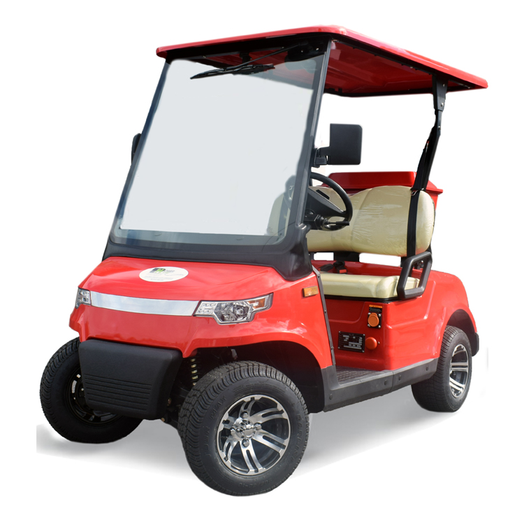 Duo Golf Buggy Road Legal