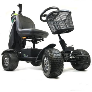 Buggies, Spares and Accesories
