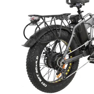 Lithium power Electric Bikes