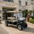 Overlander 4 Golf Buggy - view 1