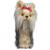 Head Cover - Novelty - Yorkshire Terrier - view 1