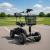 Pro Lithium Golf Buggy - view 1
