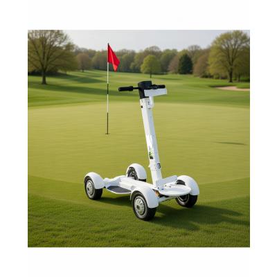 Stand And Go Golf Buggy Powerhouse Golf stand-and-go-golf-buggy-powerhouse-golf
